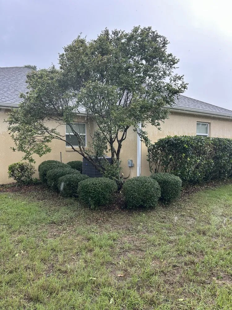 Professional landscape design for homes across Summerfield, FL - Good Neighbor Lawn Care