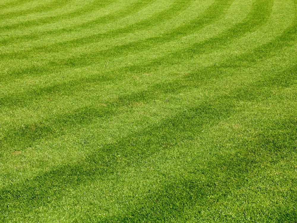 Affordable landscape design for outdoor upgrades in Brevard, NC by Good Neighbor Mowing and Lawn Care