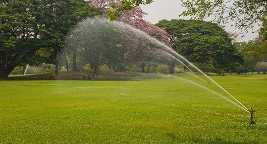 Affordable lawn mowing service for outdoor upgrades in Queen Creek, AZ by Good Neighbor Sprinklers and More