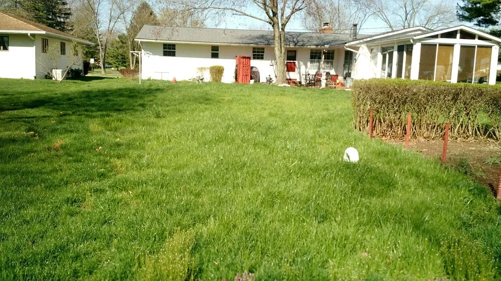 Custom lawn care service in Columbus, OH - Good Neighbors Lawncare