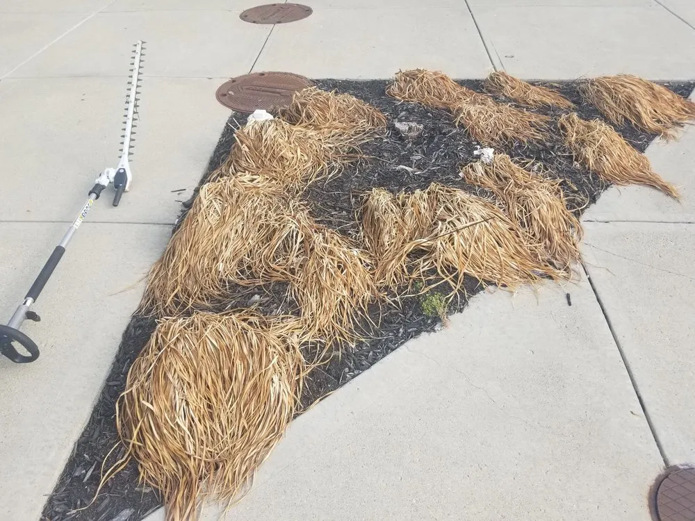 Custom yard cleanup service experts serving Columbus, OH - Good Neighbors Lawncare