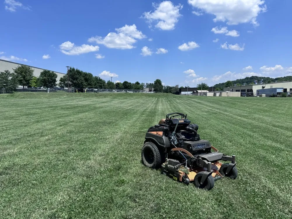 Professional yard cleanup service near you in Nashville, TN by Good News Home Services