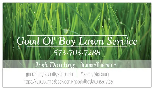 Expert lawn care service in Macon, MO by Good Ol' Boy Lawn Service