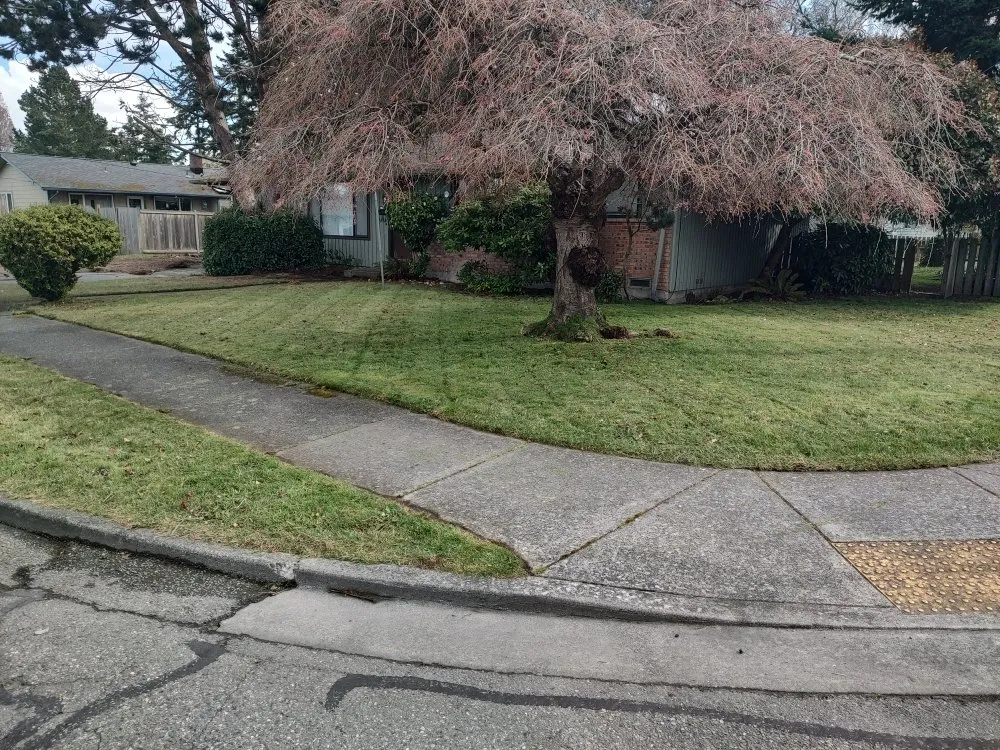 Local lawn care service in Oak Harbor, WA by Good O'l Boy's Landscape & Handyman Services