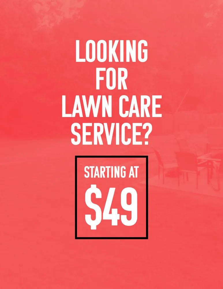 Expert yard maintenance experts serving San Diego, CA - Good Ol’ Lawn Service
