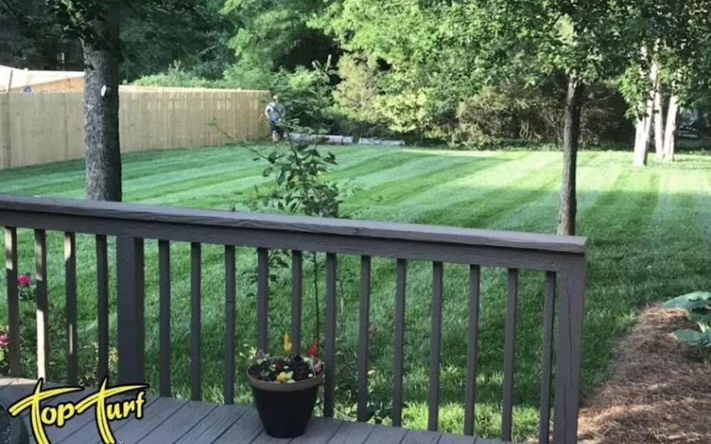 Expert residential landscaping with custom design in San Diego, CA by Good Ol’ Lawn Service