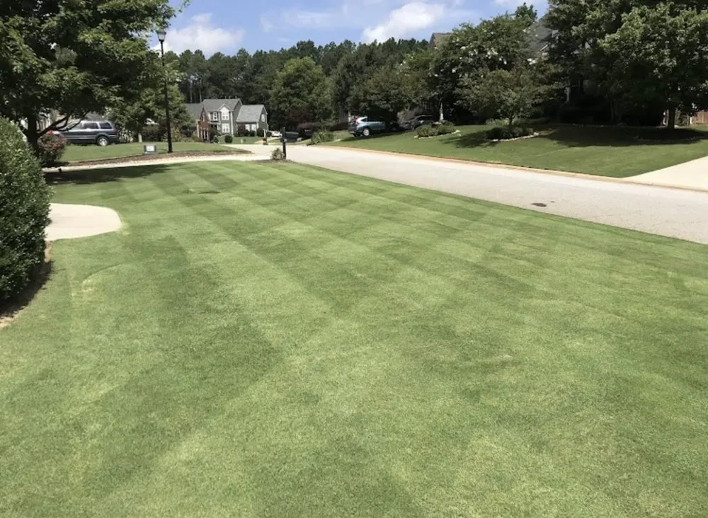 Local lawn care service in San Diego, CA by Good Ol’ Lawn Service