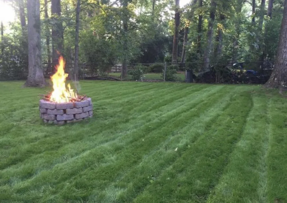 Custom lawn care service in San Diego, CA - Good Ol’ Lawn Service