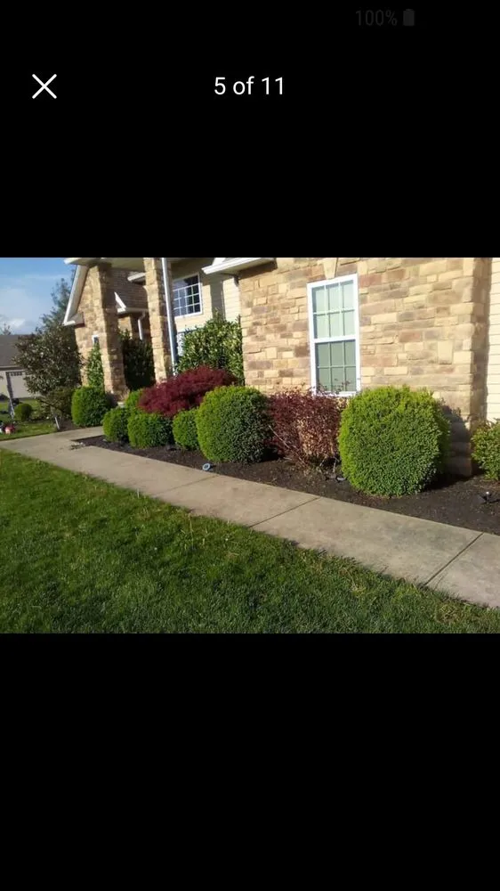 Trusted landscaping services for year-round maintenance across Frenchburg, KY - Good Olboy Zland