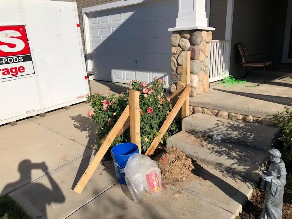 Local lawn care service in Fort Collins, CO - Good Old Boy Services