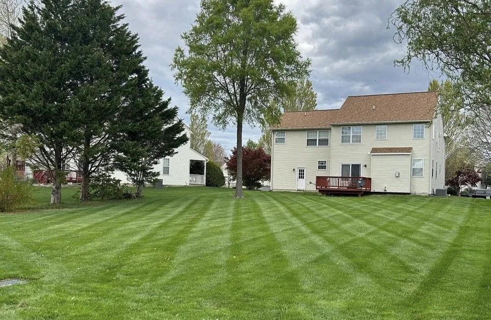 Reliable yard cleanup service in Bear, DE - Good Old Boy’s Property Services