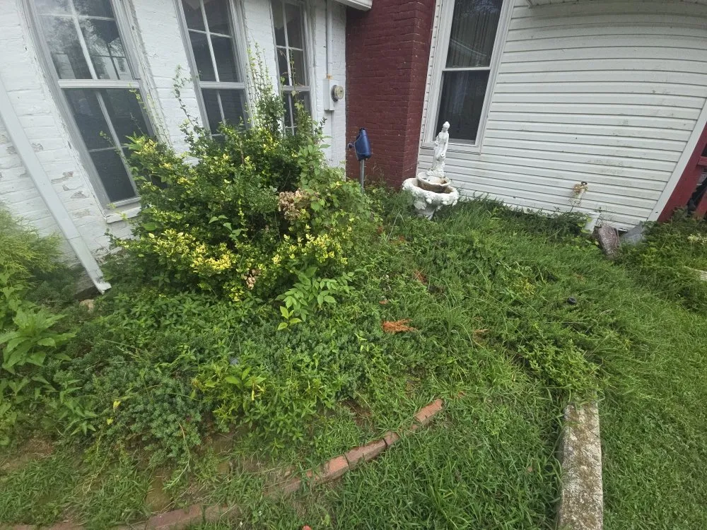 Affordable landscaping services for beautiful yards in Lewisburg, TN by Good Ole Boy Landscaping