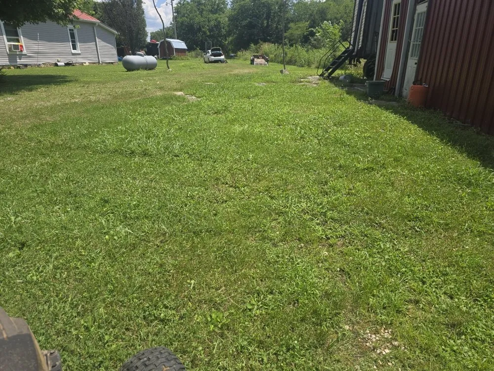 Expert landscape installation for year-round maintenance across Lewisburg, TN - Good Ole Boy Landscaping