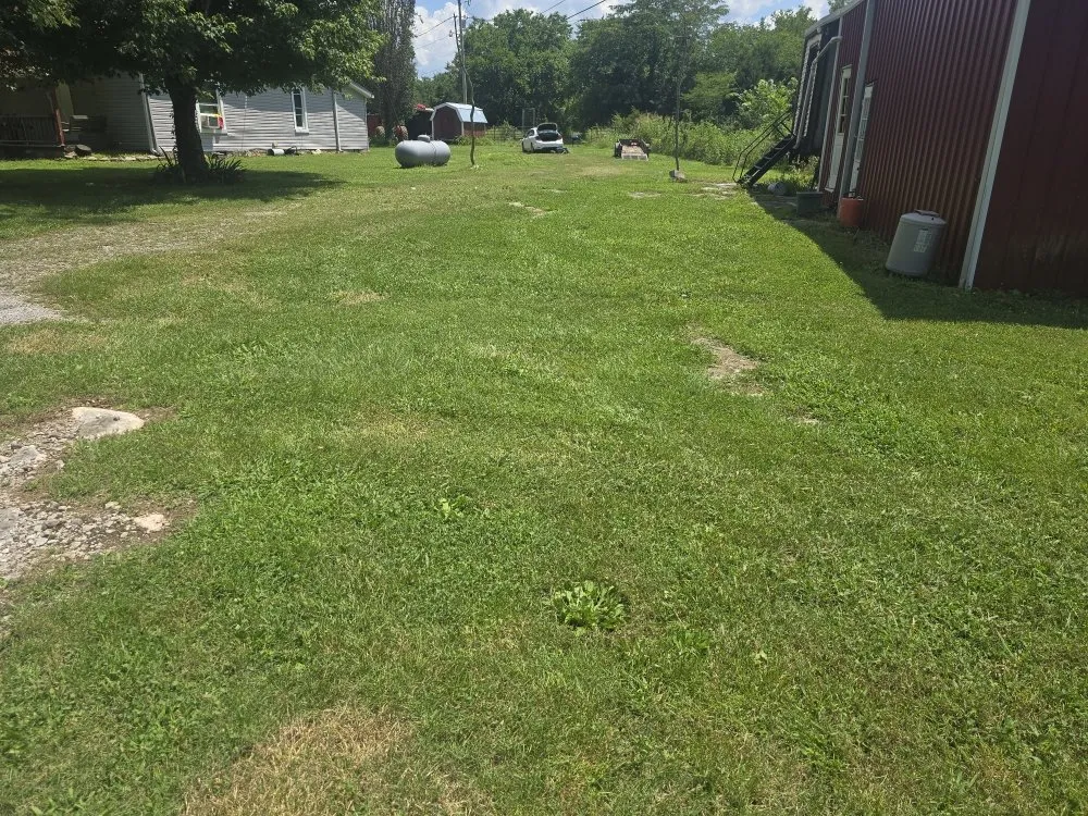 Custom yard maintenance for year-round maintenance across Lewisburg, TN - Good Ole Boy Landscaping