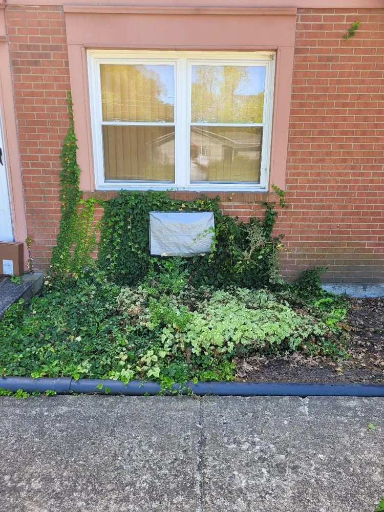 Top-rated outdoor landscaping in Youngstown, OH by Good Ole Boys Lawncare and Landscape