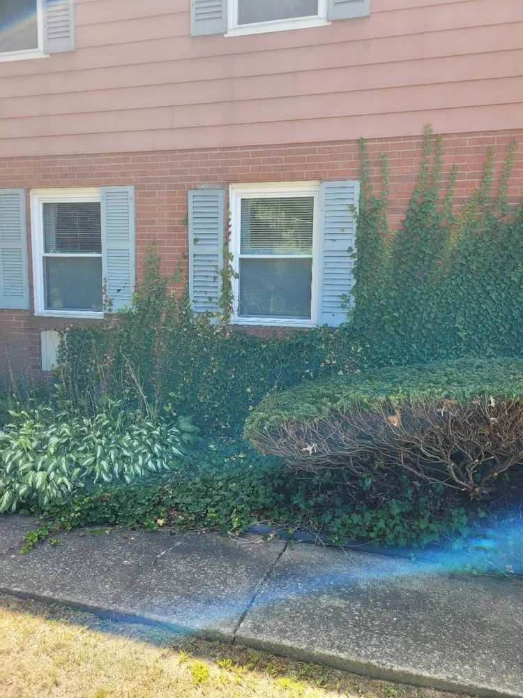 Affordable landscaping services experts serving Youngstown, OH - Good Ole Boys Lawncare and Landscape