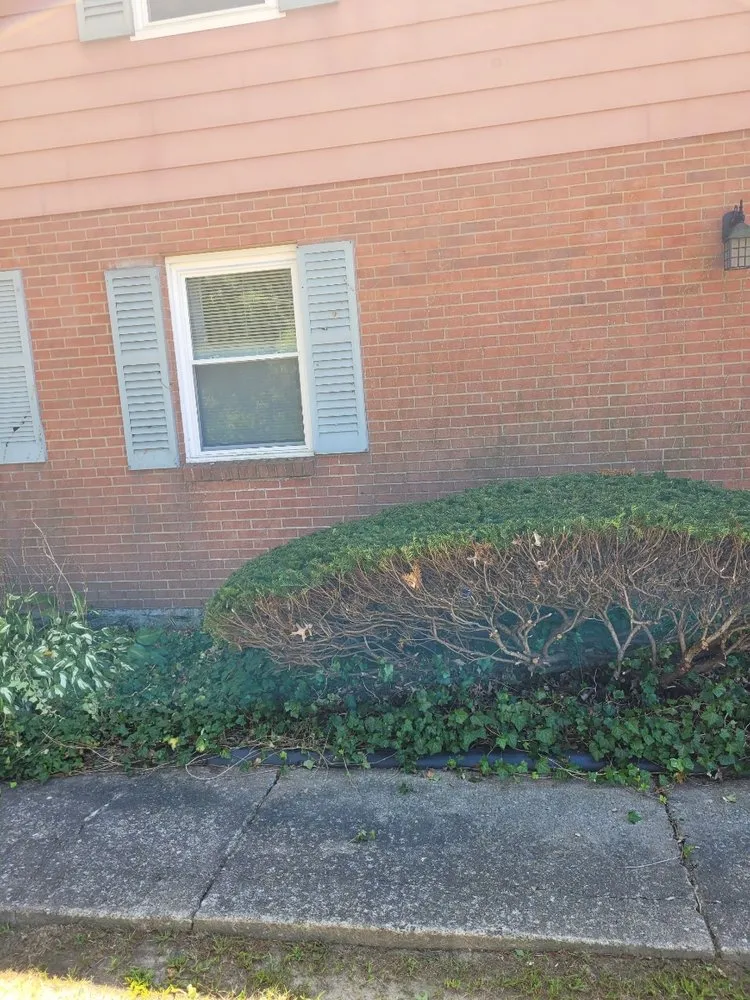 Affordable yard maintenance near you in Youngstown, OH by Good Ole Boys Lawncare and Landscape