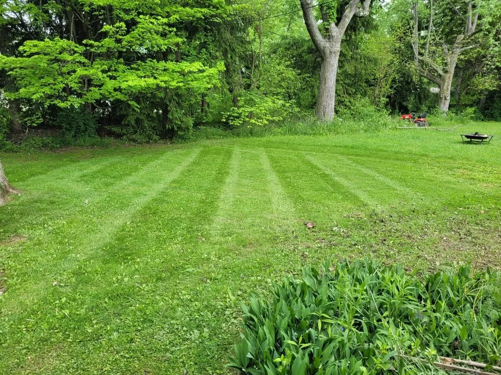 Trusted landscape design for beautiful yards across Youngstown, OH - Good Ole Boys Lawncare and Landscape