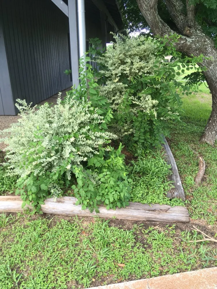 Trusted lawn care service in Richmond, TX - Good Ole Southern Landscaping