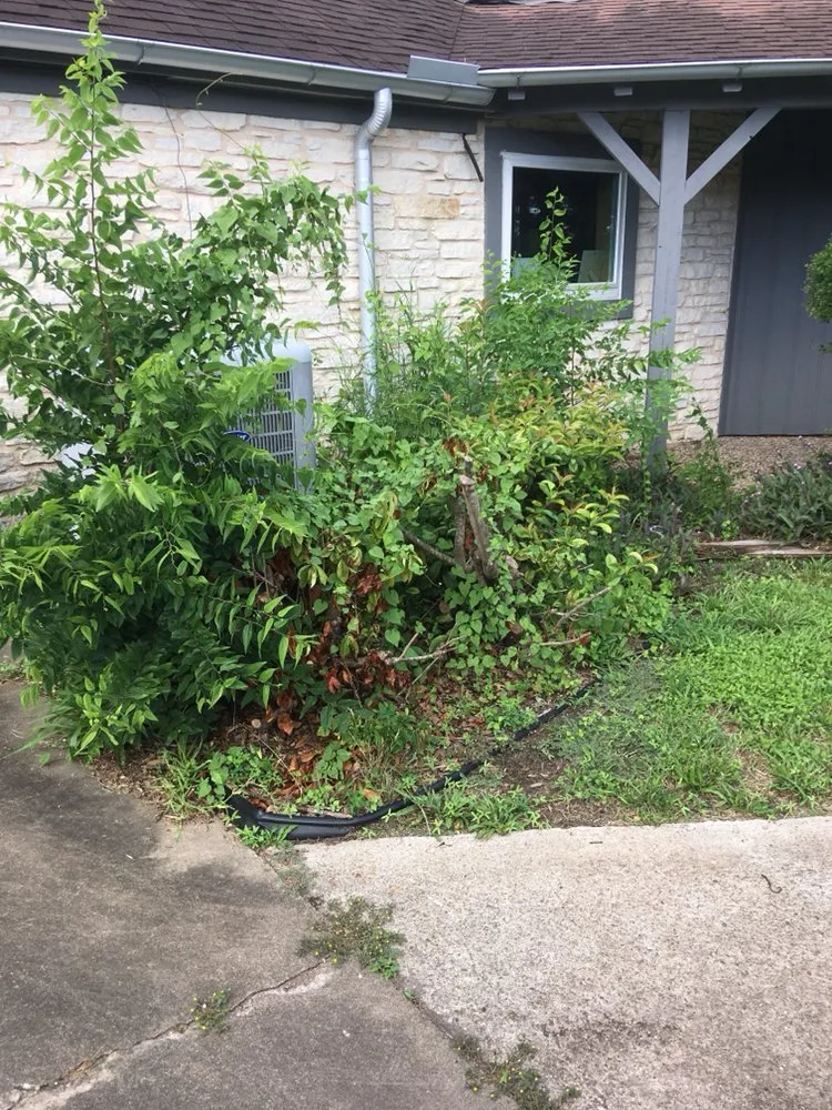 Top-rated garden landscaping experts serving Richmond, TX - Good Ole Southern Landscaping