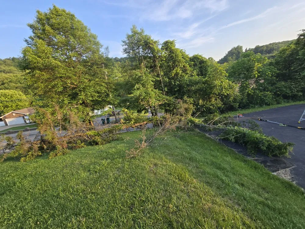 Reliable lawn care service for outdoor upgrades in Despard, WV by Good One Services