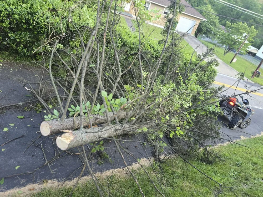 Affordable yard maintenance for residential properties across Despard, WV - Good One Services