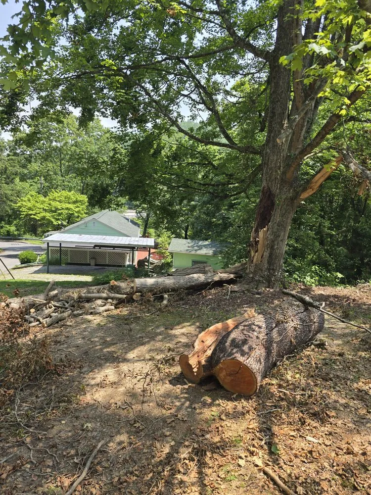 Local landscape design in Despard, WV - Good One Services