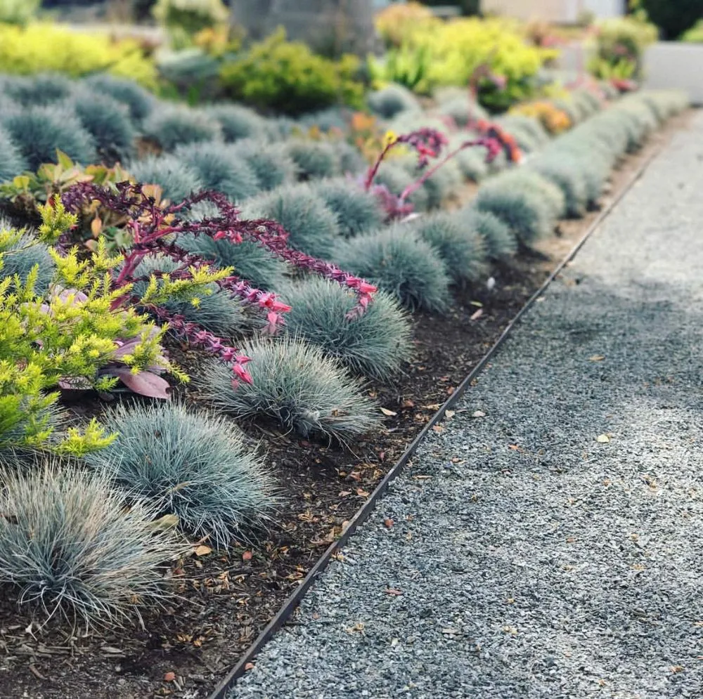 Trusted yard maintenance experts serving Beverly Hills, CA - Good Panda Landscape & Design