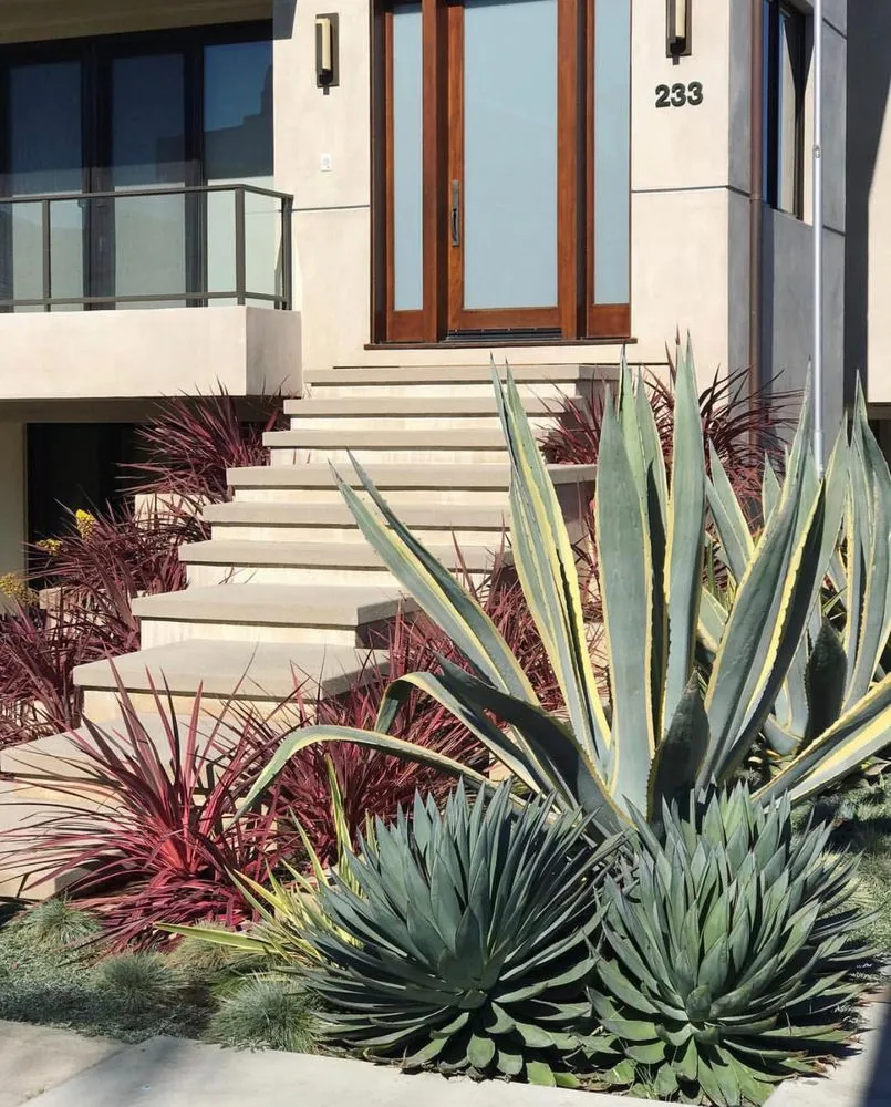 Local garden landscaping near you in Beverly Hills, CA by Good Panda Landscape & Design