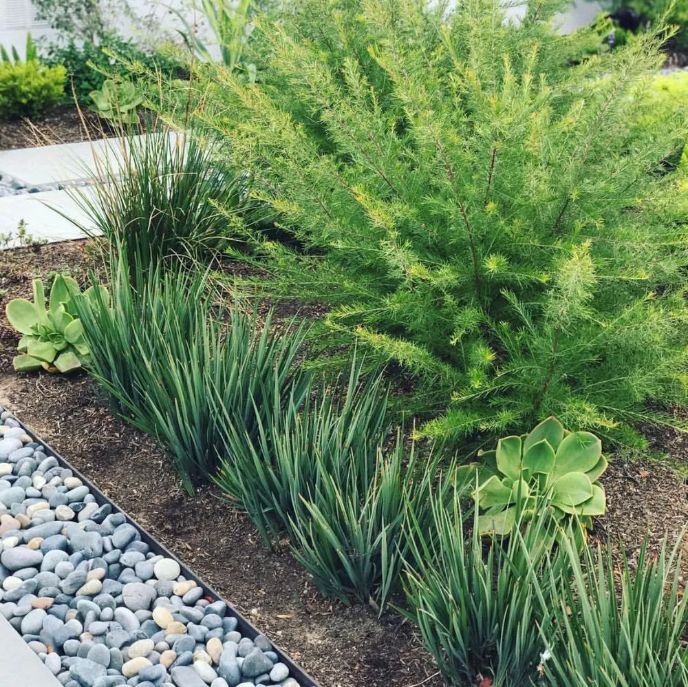 Local landscape installation in Beverly Hills, CA - Good Panda Landscape & Design