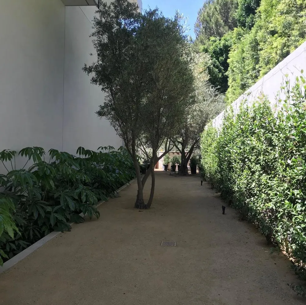 Custom landscape installation in Beverly Hills, CA - Good Panda Landscape & Design
