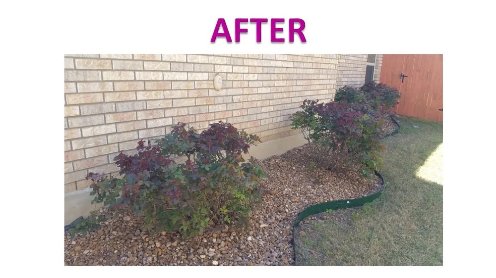 Affordable yard maintenance in San Antonio, TX by Good Prices Handyman