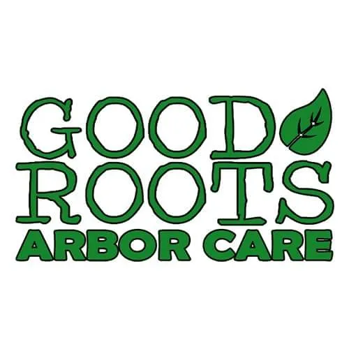 Custom yard cleanup service in Berkeley Springs, WV by Good Roots Arbor Care
