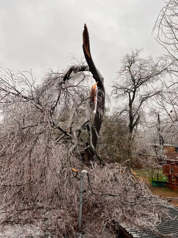 Trusted landscape design experts serving Temple, TX - Good Roots Irrigation