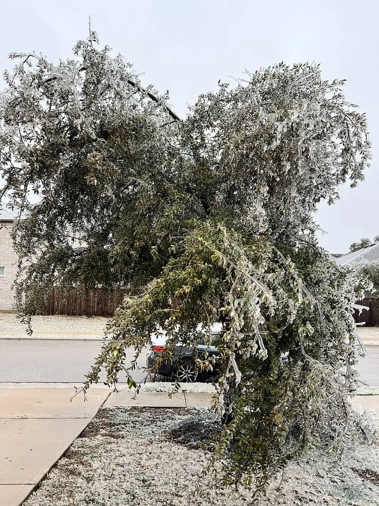 Trusted yard maintenance in Temple, TX - Good Roots Irrigation