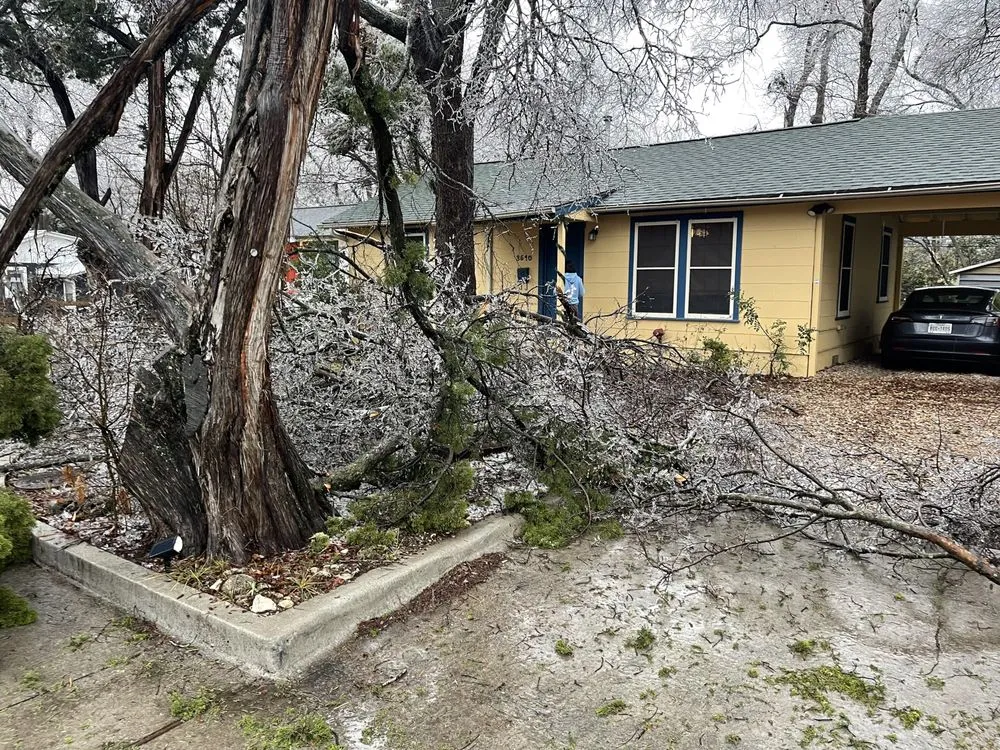 Expert yard maintenance in Temple, TX - Good Roots Irrigation