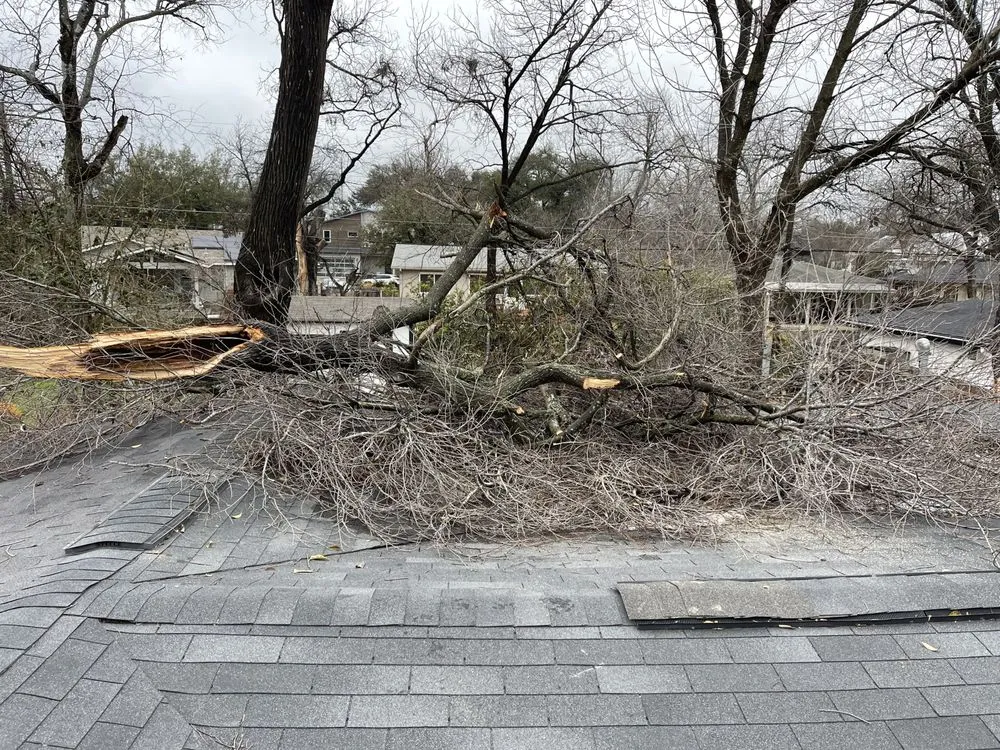 Custom residential landscaping for beautiful yards in Temple, TX by Good Roots Irrigation