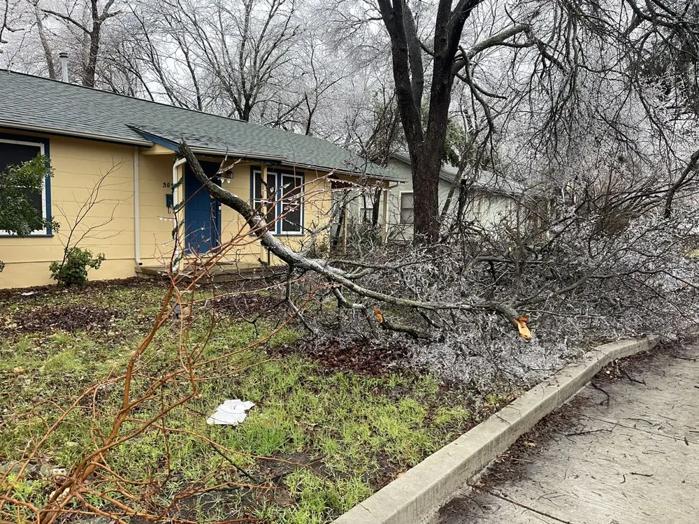 Expert garden landscaping for homes across Temple, TX - Good Roots Irrigation