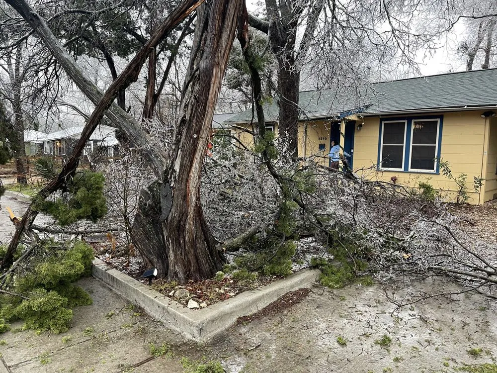 Local residential landscaping experts serving Temple, TX - Good Roots Irrigation