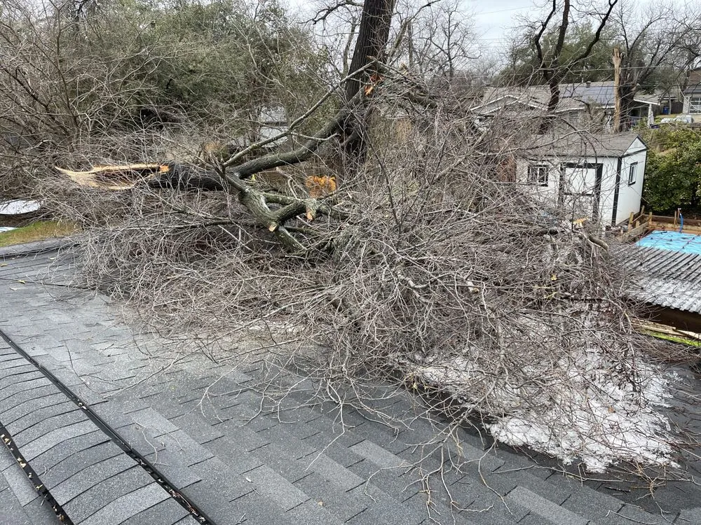 Affordable garden landscaping in Temple, TX by Good Roots Irrigation