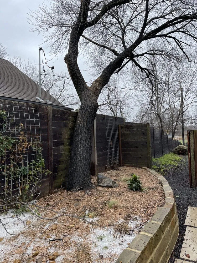 Reliable lawn mowing service for year-round maintenance in Temple, TX by Good Roots Irrigation