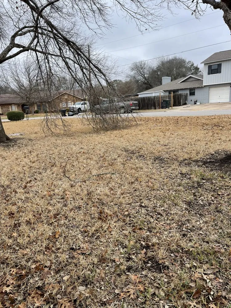 Custom yard maintenance with custom design in Temple, TX by Good Roots Irrigation