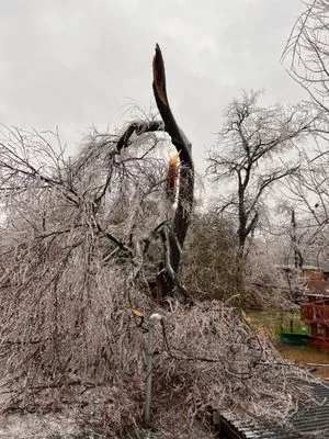 Good Roots Irrigation Logo