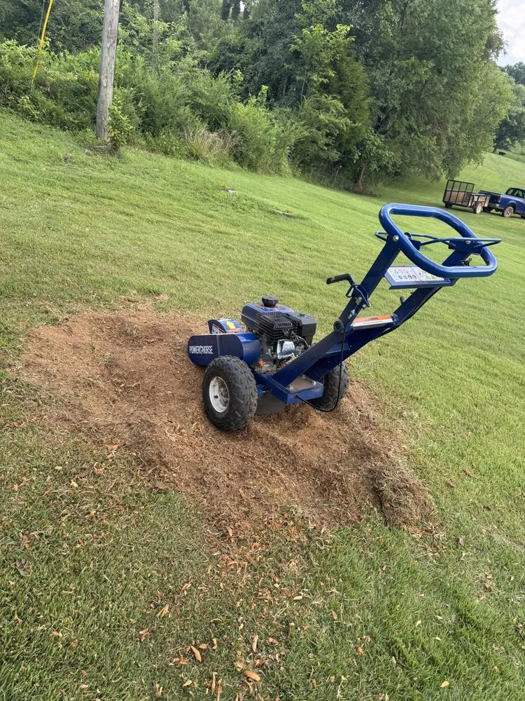 Expert yard cleanup service with custom design in Kingsport, TN by Good Samaritan Repair