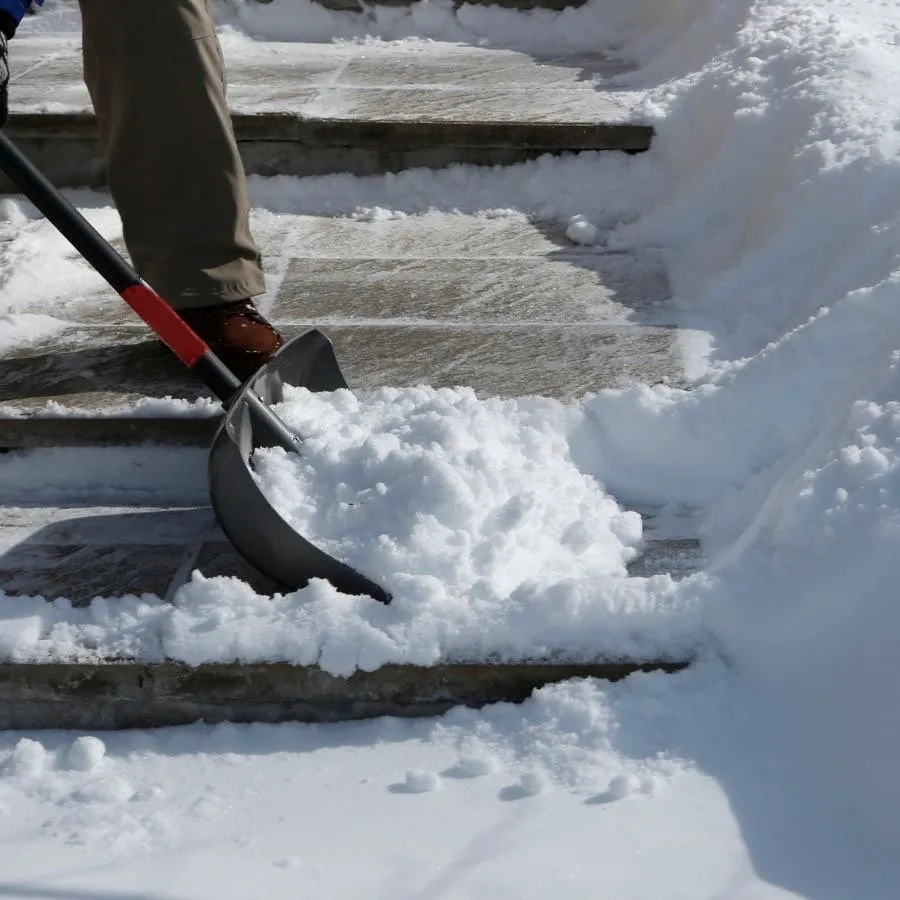 Top-rated landscaping services in Kingsport, TN by Good Samaritan Repair