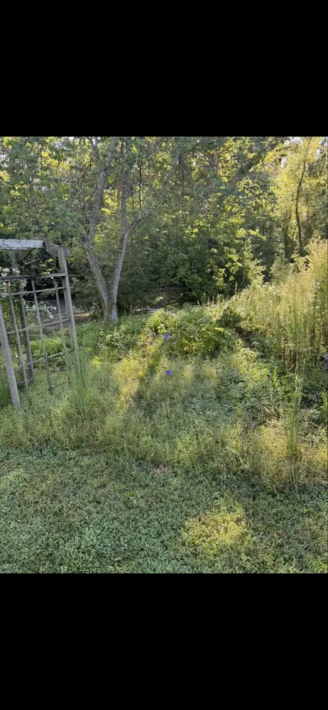 Professional outdoor landscaping in Kingsport, TN by Good Samaritan Repair