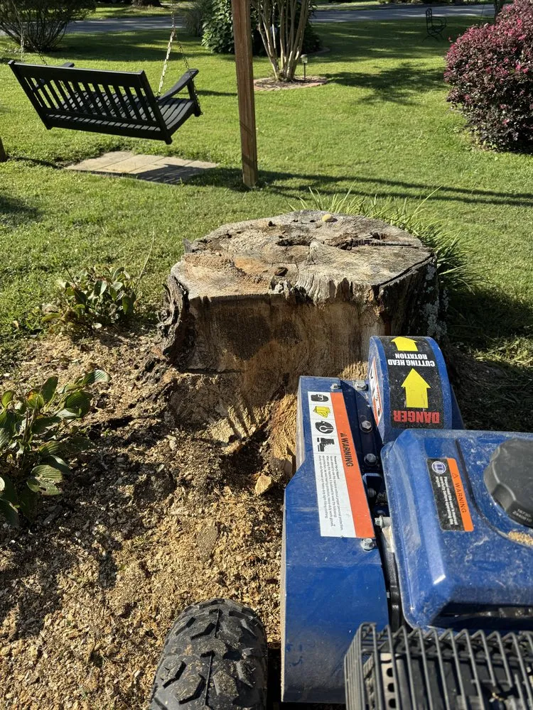 Professional lawn mowing service for year-round maintenance in Kingsport, TN by Good Samaritan Repair