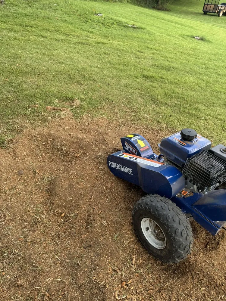 Trusted lawn care service experts serving Kingsport, TN - Good Samaritan Repair