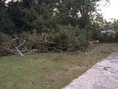 Professional landscape design in North Augusta, SC - Good Samaritan Services