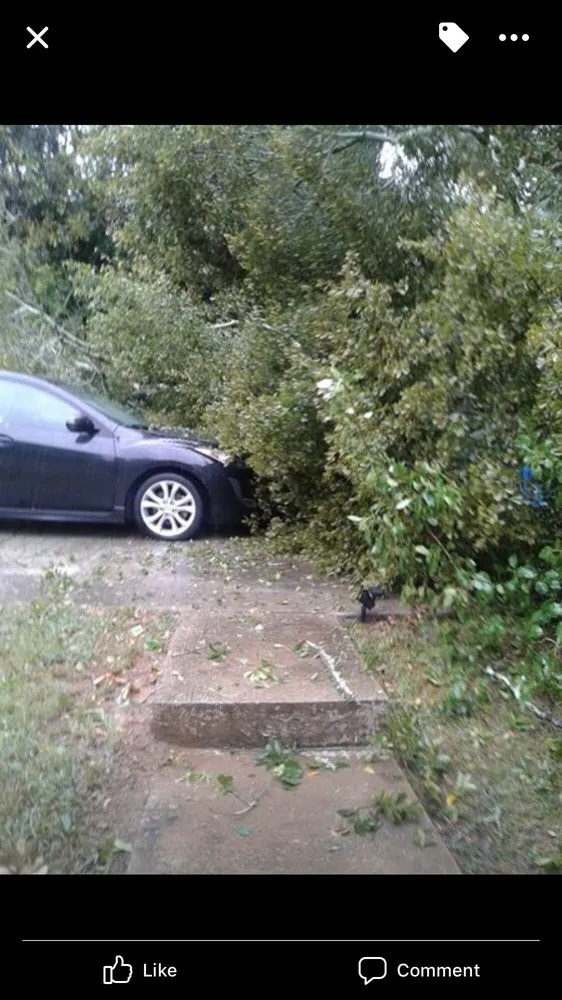 Custom landscaping services in North Augusta, SC - Good Samaritan Services